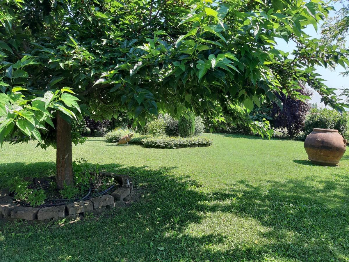 Casa Massimo Hotel Altedo Ngoại thất bức ảnh